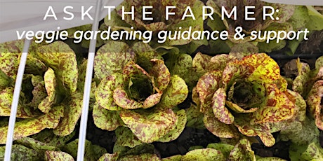 Ask The Farmer June 2022: Veggie Gardening Guidance & Support tickets