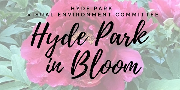Hyde Park in Bloom Garden Tour