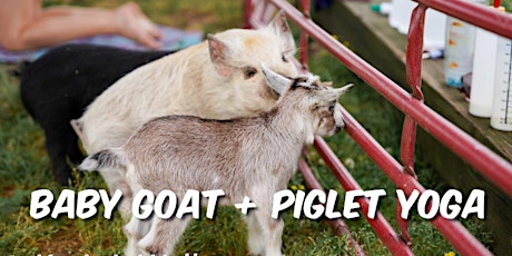 Piglet & Goat Yoga Combined! Friday May 20 th a Community Wellness Event tickets