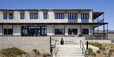 Visit The Marine Mammal Center primary image