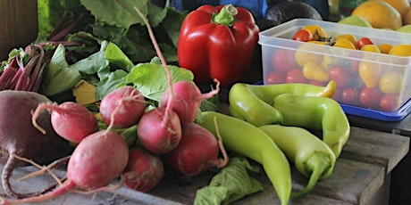 Kitchen Garden Workshops - Making it Normal to Avoid Food Waste primary image