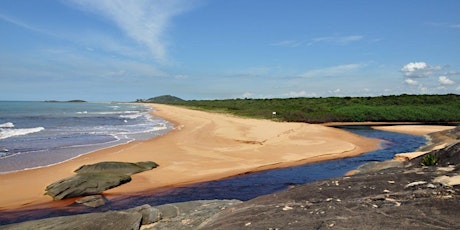 Imagen principal de A&T - Visita ao Parque Estadual Paulo César Vinha