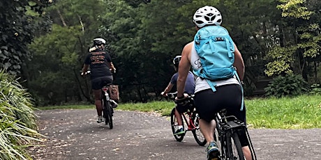 Guided cycle along the GreenWay