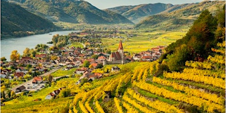 May Wine Class | Austria & Germany | May 25 @ 7pm | $55 + tax/tip | Wine! tickets