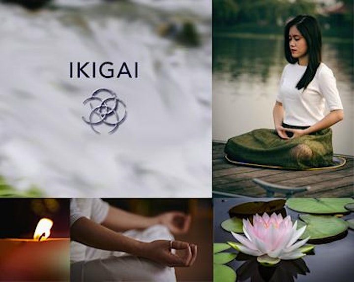 Ikigai: The Joyful Flow of Your Life image