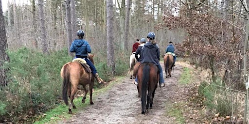 Horse-back riding!