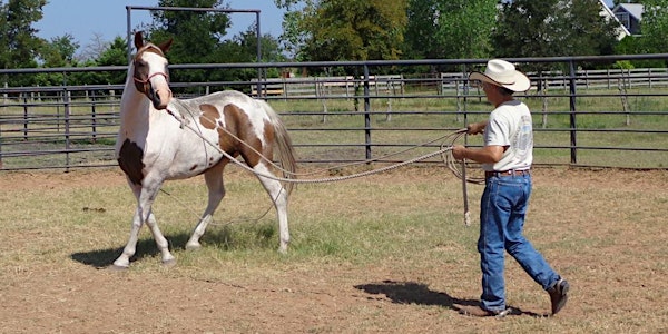 2017 Spring Horse Training Clinic with Juan Vendrell