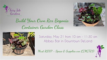 Build Your Own Rex Begonia Container Garden Class
