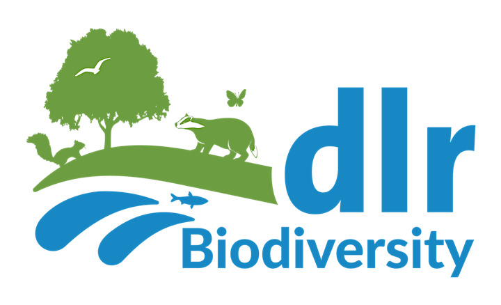 DLR Biodiversity Walk in Fernhill Park and Gardens image