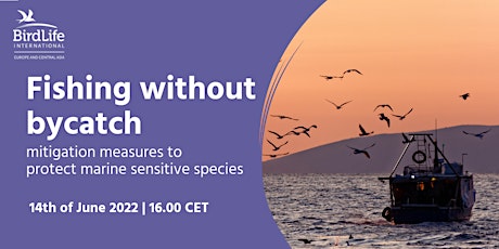 Primaire afbeelding van Fishing without bycatch – mitigation measures to protect sensitive species