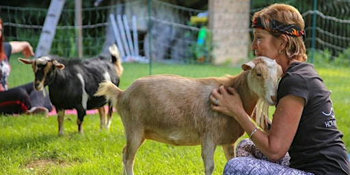 Sip & Strectch - Goat Yoga at The Saratoga Winery