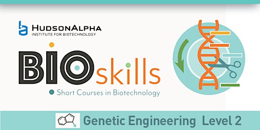 BioSkills: Genetic Engineering- Level 2 (Fall 2022) primary image