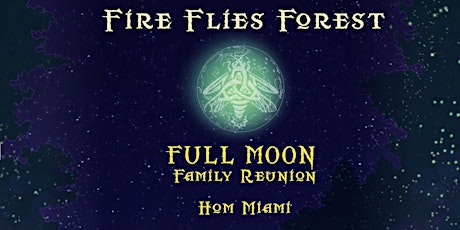 Fire Flies Forest Full Moon Family Reunion