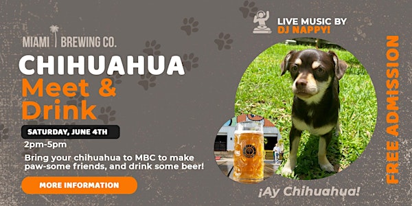 Chihuahua Meet and Drink at Miami Brewing Company!