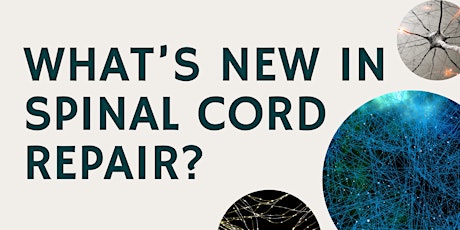 What’s new in spinal cord repair? primary image