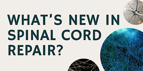 What’s new in spinal cord repair?