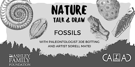Nature Talk and Draw - Fossils