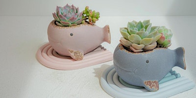 Imagem principal de Parenting Succulent Plant Arrangement Workshop