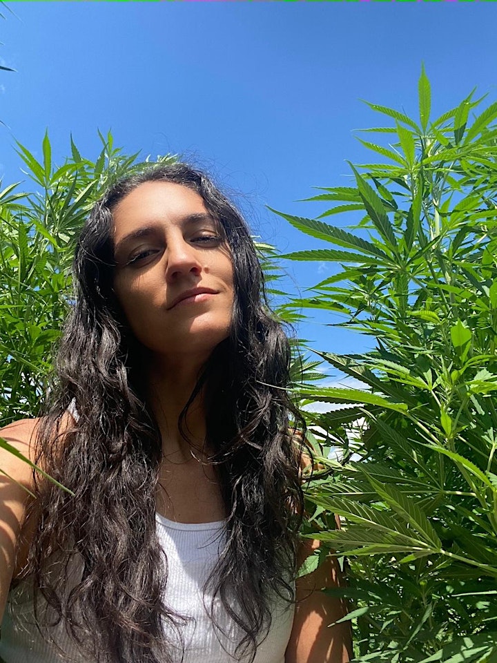 Not all CBD is Created Equal with Brittany Carbone image