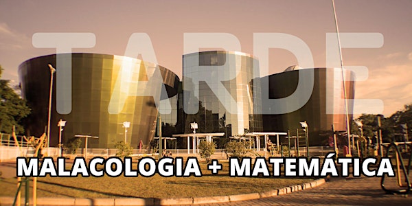 TARDE - ESCOLAS - Malacologia + Matemática