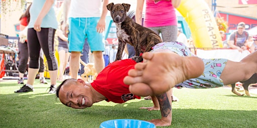 Yoga With Adoptable Puppies at Pet-A-Palooza!