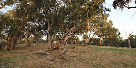 Planting day at Pink Gum Campground Onkaparinga River National Park tickets