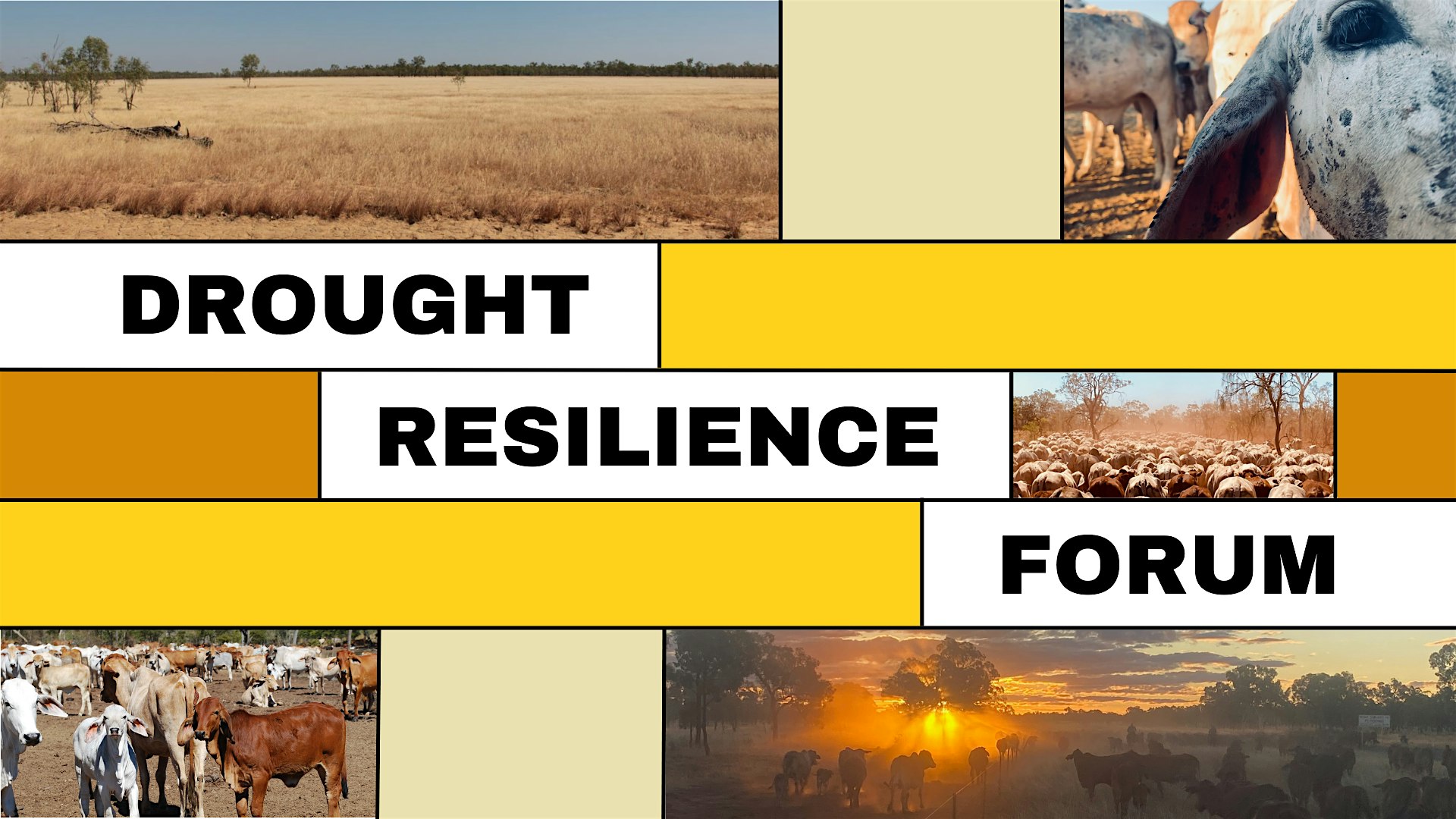 Chillagoe Drought Resilience Forum
