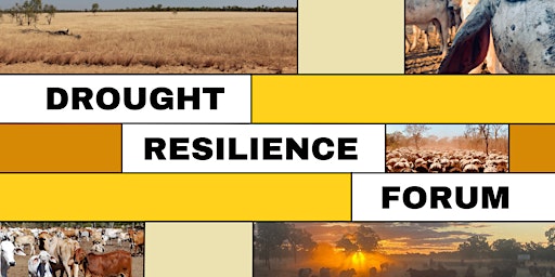 Chillagoe Drought Resilience Forum
