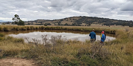 Managing for a healthy farm dam - Trundle primary image