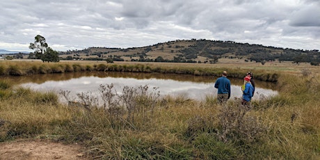 Managing for a Healthy Farm Dam - Mogriguy primary image