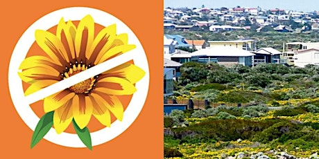 Gazania Free Gardens in the City of Holdfast Bay - Native Plant Giveaway tickets