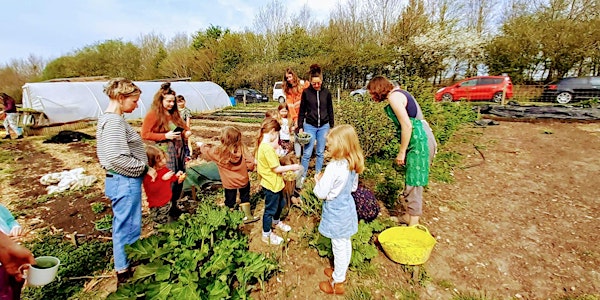 Plot to Plate: Family Harvesting and cooking workshops in the Garden
