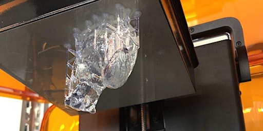 Maker Workshop Einstieg SLA-3D-Druck