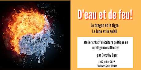 Primaire afbeelding van D'eau et de feu!