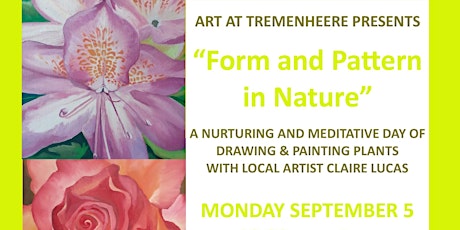 Form and Pattern in Nature - A meditative day of painting with Claire Lucas