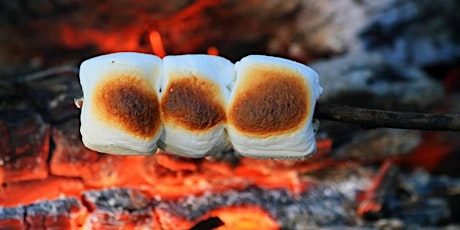 14:00 Session: Spring Dens and Bonfire Marshmallows Kingsbury Water Park tickets