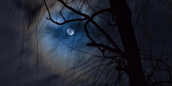 The Willow Month: Opening to the energies of the full moon eclipse16th May