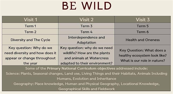BE Wild at Watercress Farm for Schools 22/23 image