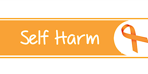 Self-Harm Awareness Training for Healthcare Professionals in the UK
