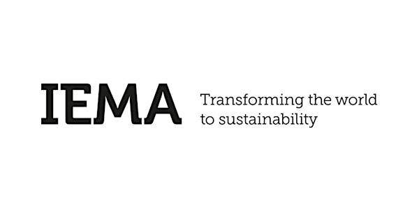 IEMA Futures: Measuring Social Value – A Panel Discussion