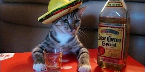 Second Annual Cinco de Meow CLE