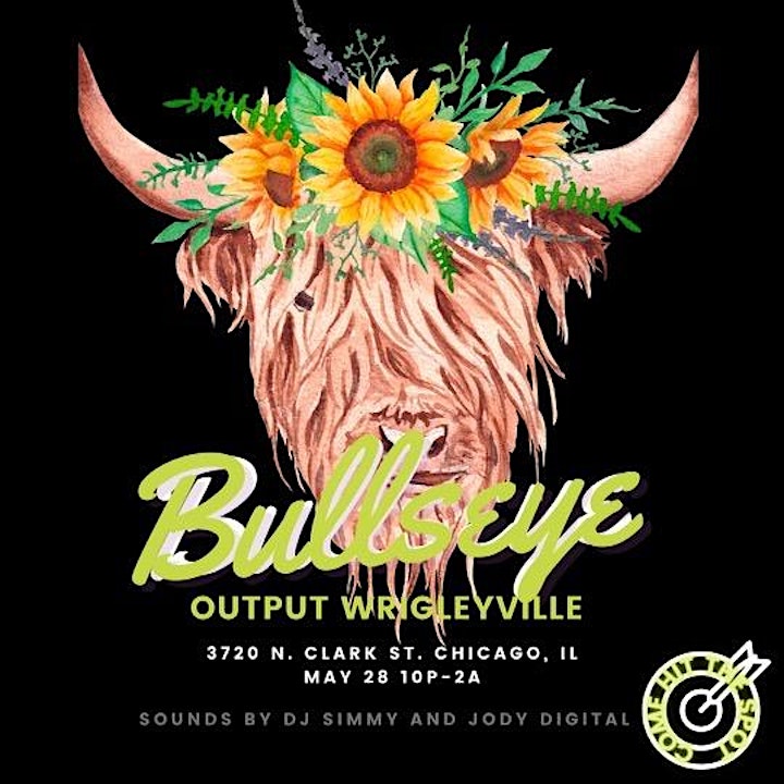 Bullseye Party In Wrigleyville image