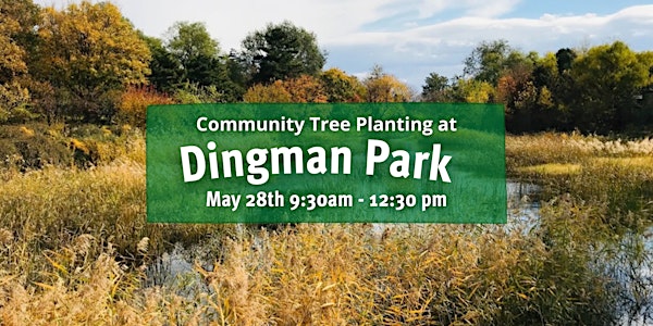 Dingman Planting May 28th