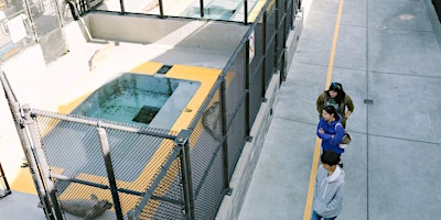 Behind-the-Scenes Experience at The Marine Mammal Center primary image