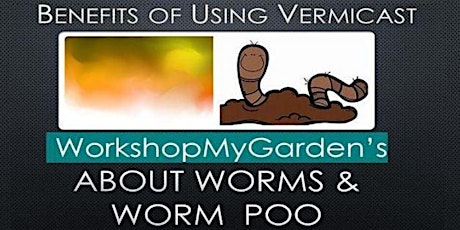 Worm Poo - Benefits of Using Vermicast