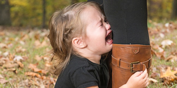 Overcome 3 Common Toddler Parenting Challenges