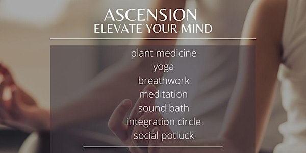 Ascension: Elevate Your Mind