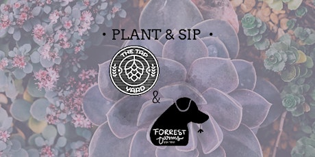 Plant & Sip | Succulent Bar tickets