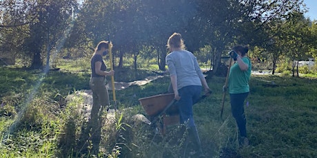 Volunteer at 21 Acres: Farm Stewardship