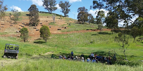 Natural Sequence Farming site visit with Stuart Andrews at Cementa 17 primary image
